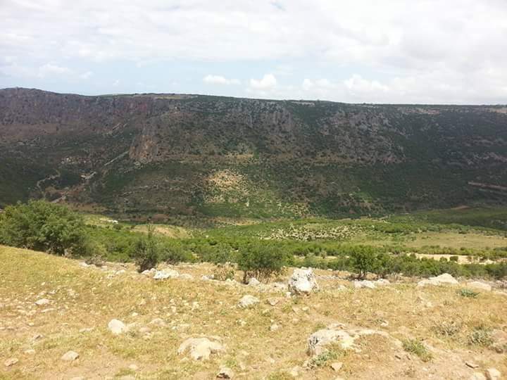 salhani bintjbeil